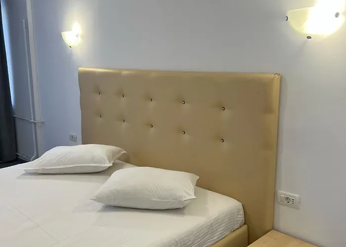 Hotel Viilor *