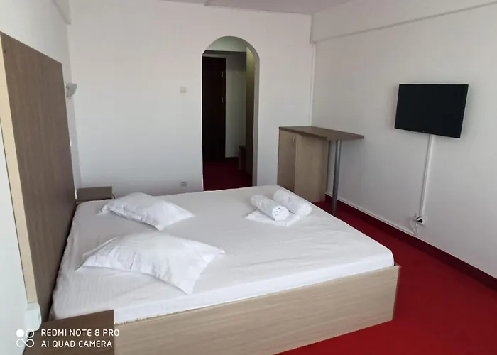Hotel Viilor *