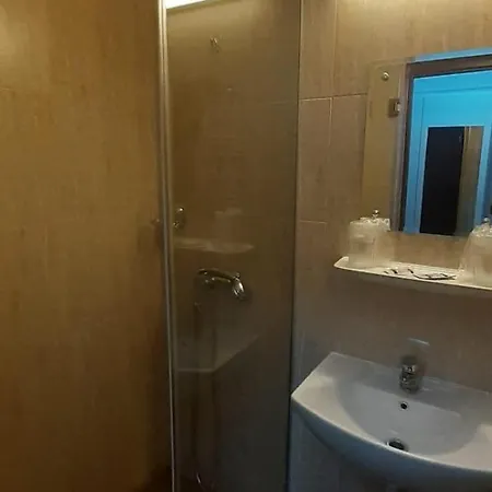 Viilor Hotel *